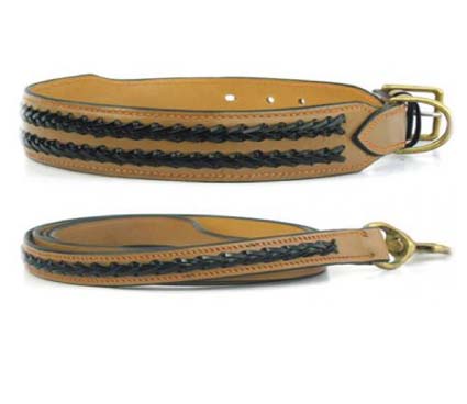 Dog Collar.
